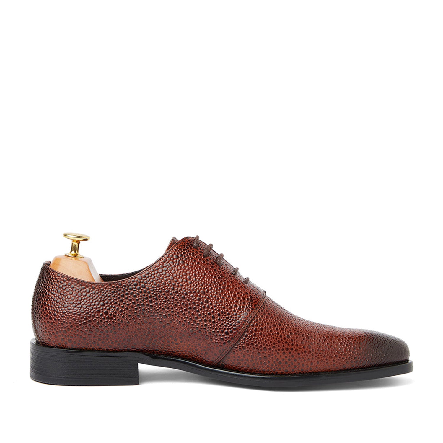 Stingray Leather Oxford Brown Shoes