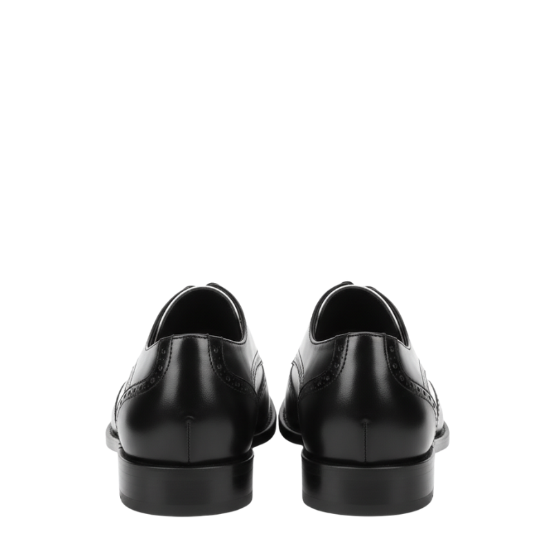 Dual Tone Monarch Spectator Oxford