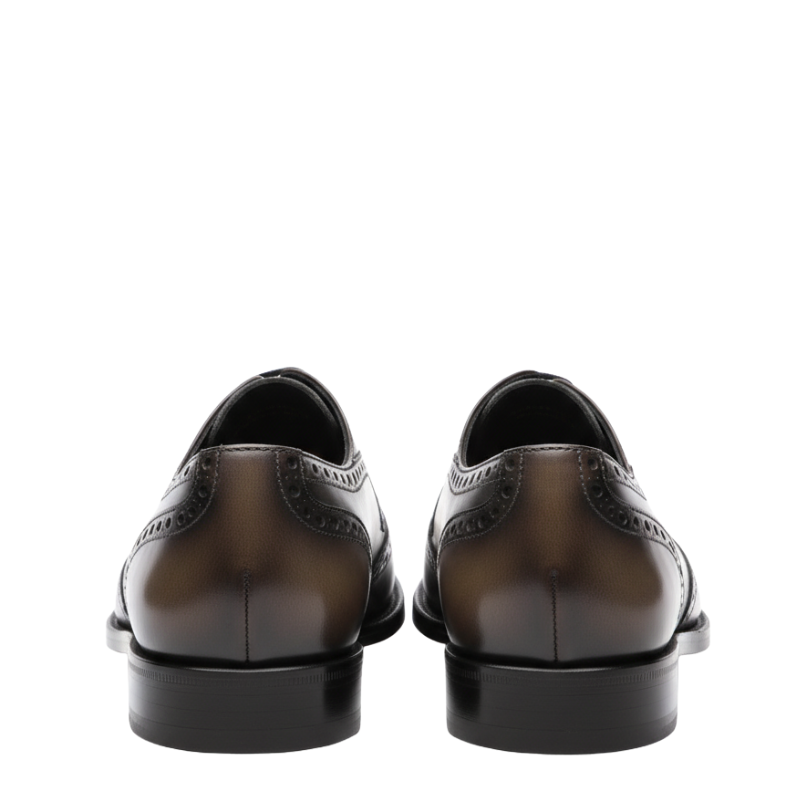 Dual Tone Finish Luxury Brogue Oxford