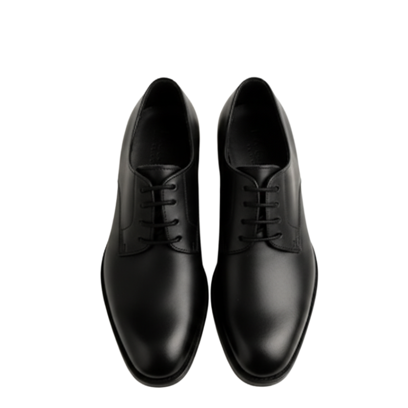 Premium Smooth Leather Sleek Finish Derby Shoes