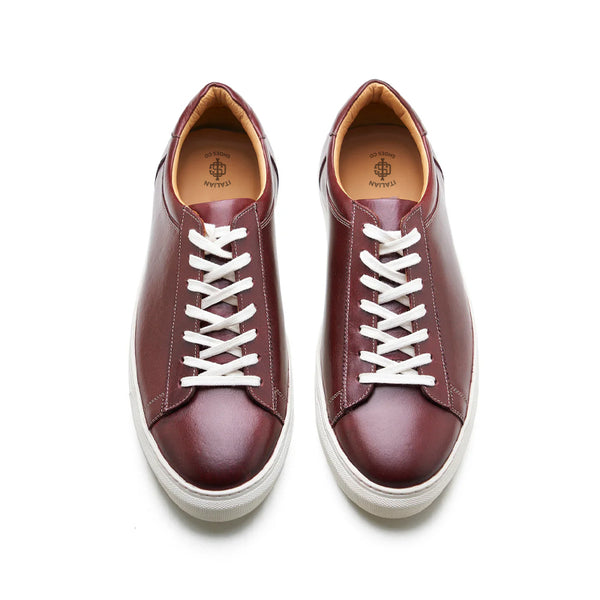 Lace up Sneaker Smart Casual Burgundy