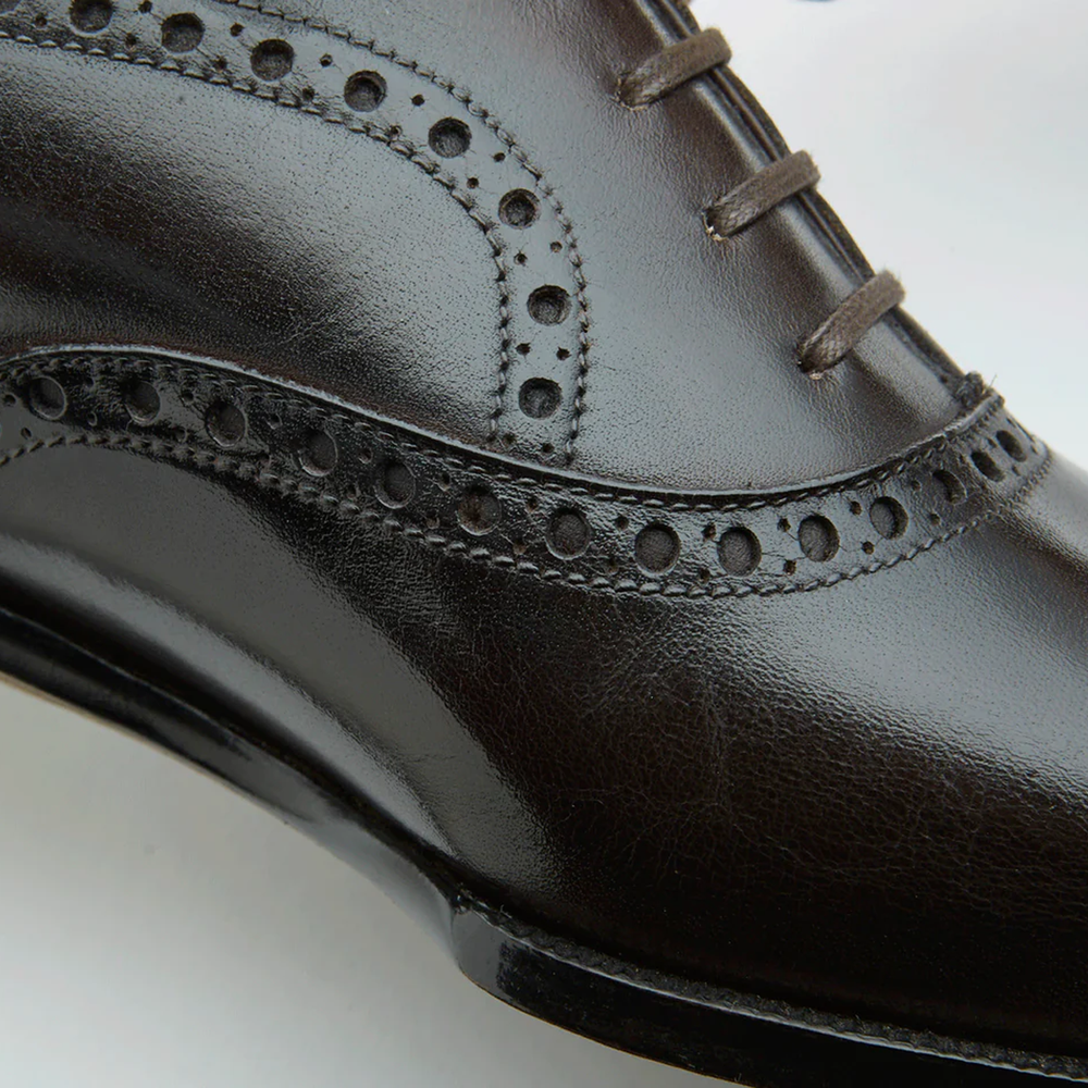 Zenith Zephyr Oxford Shoes
