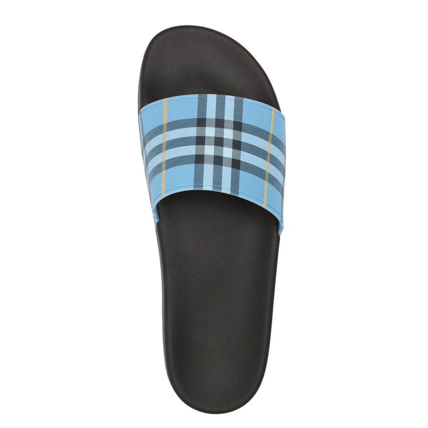 Vintage Blue Check Print slides