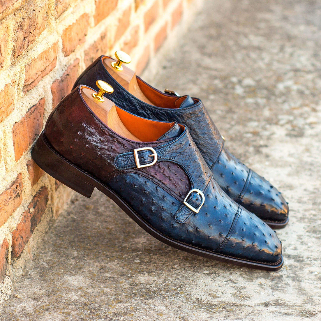 Radiant Ray Monkstrap Shoes