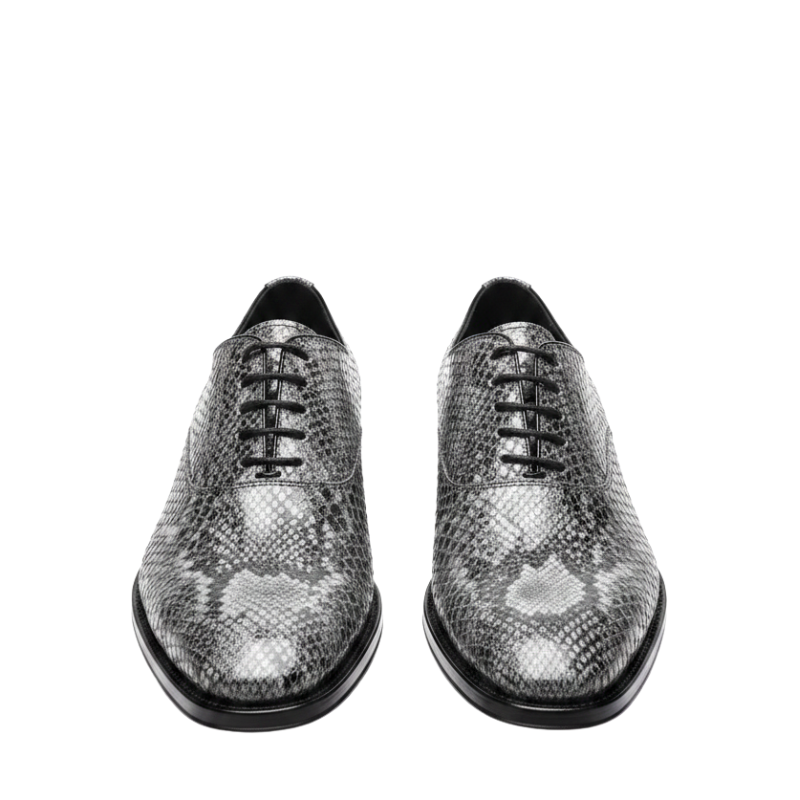Classic Serpent Luxe Dress Statement Oxford Shoes