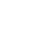 Italian Shoes Company
