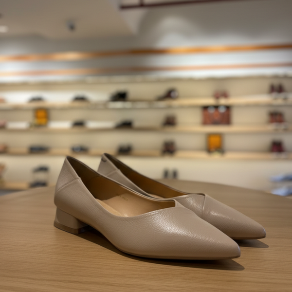 Minimal Luxe Pointed Low Heel Pumps