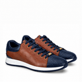 Brown & Blue