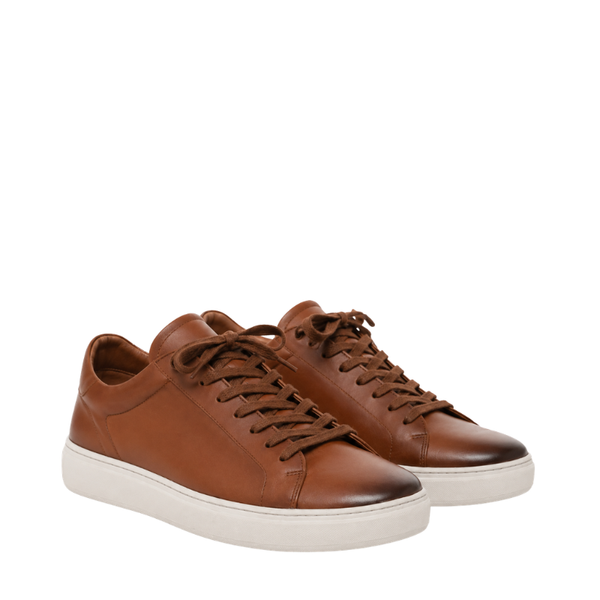 Polished Heritage Comfort Lace Sneaker