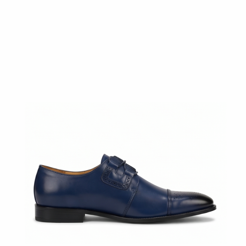 Regent Elite Leather Captoe Oxford Shoes