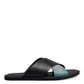 Black/Teal