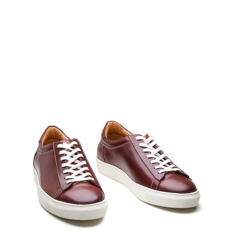 Lace-up Sneaker - Smart Casuals