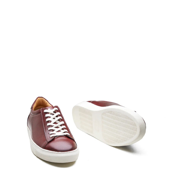 Lace up Sneaker Smart Casual Burgundy