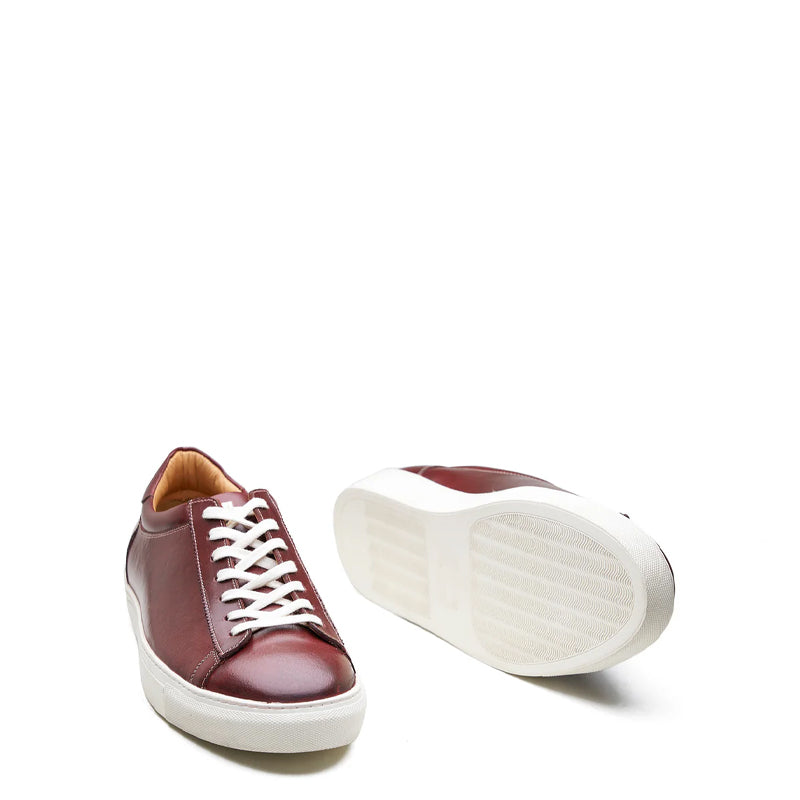 Lace up Sneaker Smart Casual Burgundy