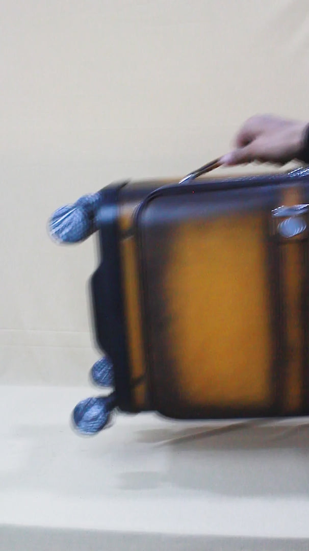 Italian Aurex Luxury Leather Cabin Trolley