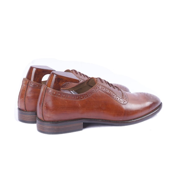 Wingtip Oxford Shiny Dark Brown Shoes